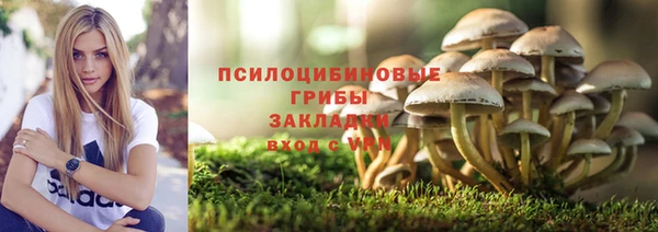 дживик Алзамай