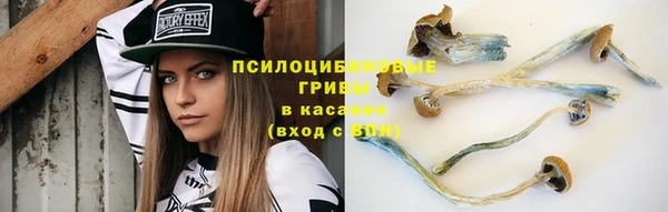 дживик Алзамай