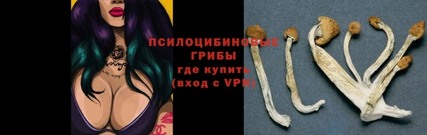 дживик Алзамай