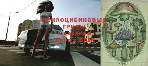 дживик Алзамай