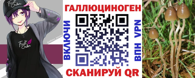 Галлюциногенные грибы мухоморы Злынка